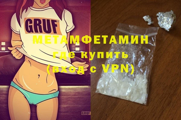 прущие грибы Медвежьегорск