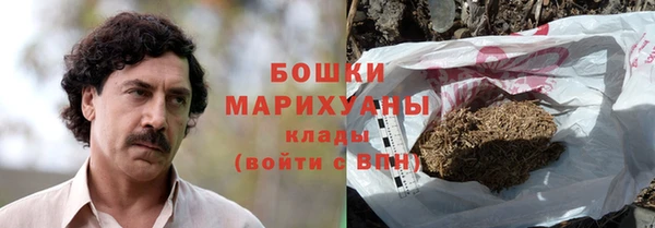 прущие грибы Медвежьегорск