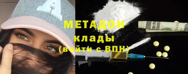 прущие грибы Медвежьегорск