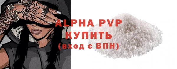 прущие грибы Медвежьегорск