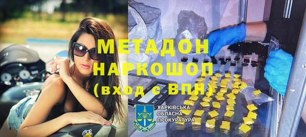 прущие грибы Медвежьегорск
