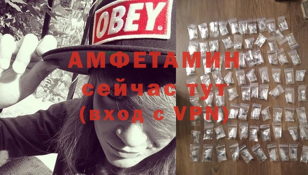 прущие грибы Медвежьегорск